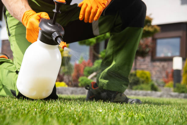 Best Pest Control Near Me  in Greenwood, SC
