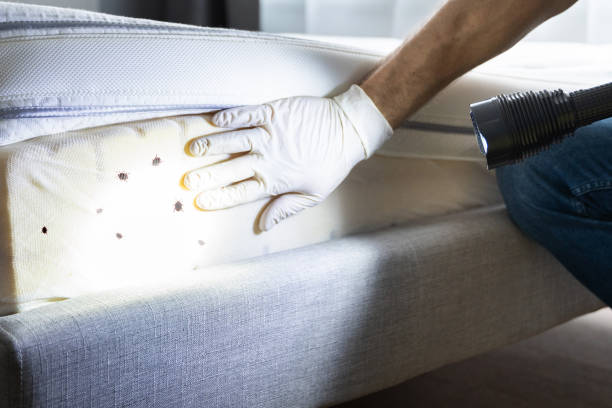 Best Mosquito Control Services  in Greenwood, SC